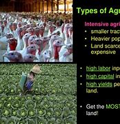 Image result for Different Types of Agriculture