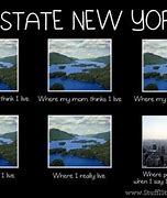 Image result for Divisions of New York State Joke