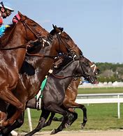 Image result for Horse Racing Art