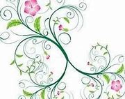 Image result for Coral Pink Swirl with Floral