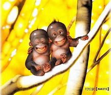 Image result for Funny Monkey Bad Hair Day