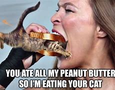 Image result for Person Eating Cat Meme