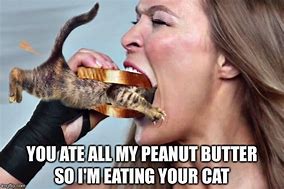 Image result for Funny Eating Cat Memes