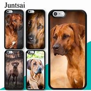 Image result for iPhone 5S Dog Cases