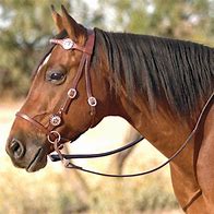 Image result for Western Horse Bridles