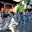 Image result for Popular Styles of Kung Fu