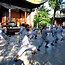 Image result for 7 Kung Fu Styles