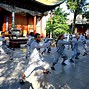 Image result for Types of Kung Fu Styles