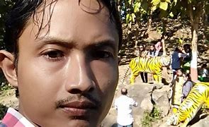 Image result for Patu Digua