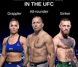 Image result for Types of MMA Fighting