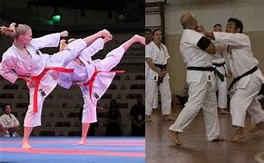 Image result for World's Best Karate Styles