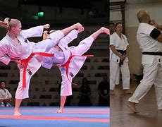 Image result for Special Types of Karate