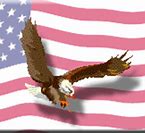 Image result for Bald Eagle with American Flag Clip Art