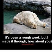 Image result for Rough Week Dissolve into Abyss Meme