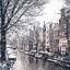 Image result for Holland Winter