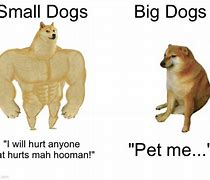 Image result for Small Dog Anime Meme