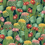 Image result for Sunflower and Cactus Wallpaper