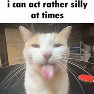 Image result for Chillin and Bleh Cat Meme