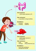 Image result for GI Side Effects Cartoon