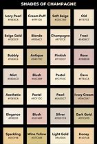 Image result for The Color Champagne