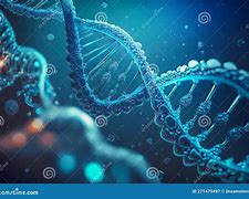 Image result for Human DNA Sequence