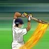 Image result for Cricket Game Funny