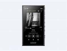 Image result for Sony A100