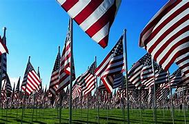 Image result for Red American Flag