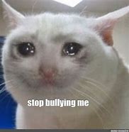 Image result for Memes About Bullying