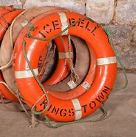 Image result for A Pile of Life PRESERVERS