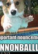 Image result for Cannonball Pool Meme