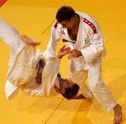 Image result for Martial Arts Fighting Styles