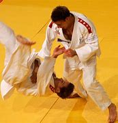 Image result for martial arts