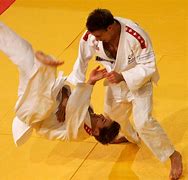 Image result for top 10 martial arts