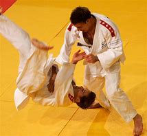 Image result for Most Popular Martial Arts