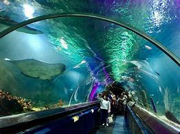 Image result for Local Attractions