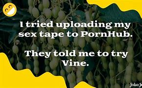 Image result for Funny Vine Jokes