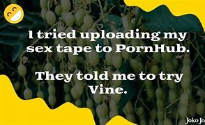Image result for Vine Jokes