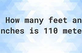 Image result for How Big Is 110 Meters