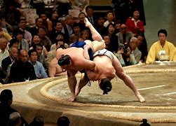 Image result for What Is Sumo
