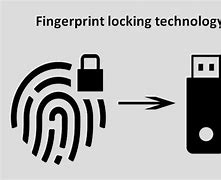 Image result for Fingerprint Flashdrive