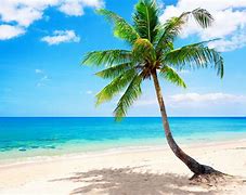 Image result for iPhone 11 Pro Beach Wallpaper