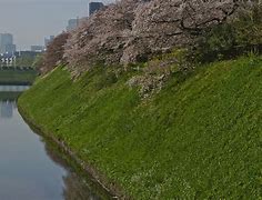 Image result for Spring in Tokyo