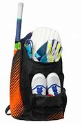 Image result for Beat Up Cricket Bag