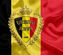 Image result for Belgian Football Association