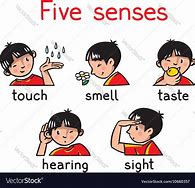 Image result for Five Senses Cartoon