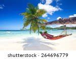 Image result for Tropical Paradise iPhone Wallpaper