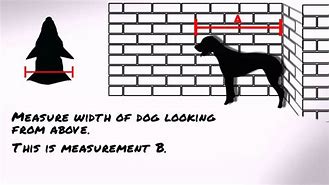 Image result for Dog Bump Measuring