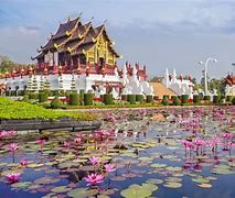 Image result for Bangkok Chiang Mai