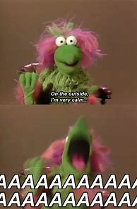 Image result for Muppet Meme